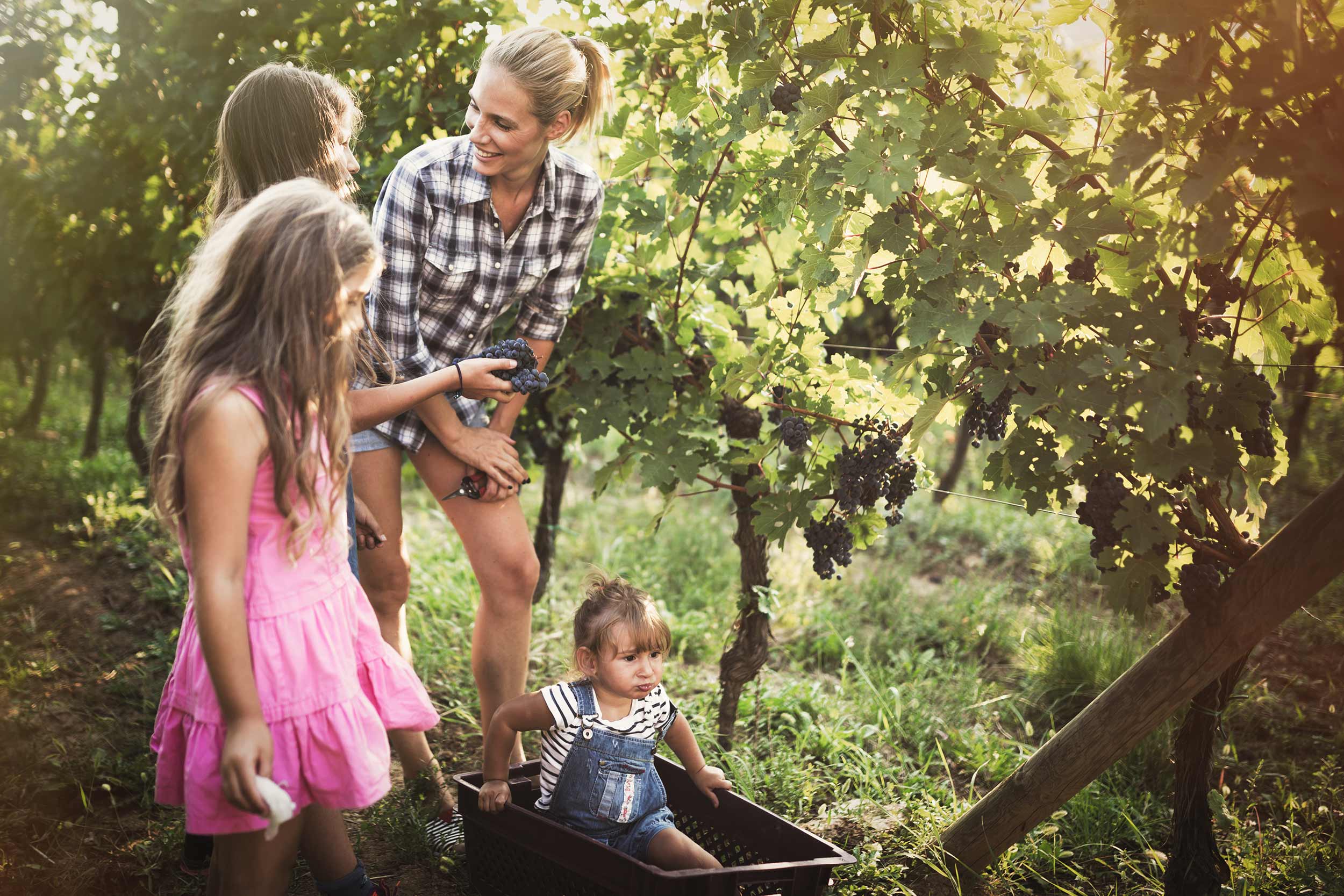 Our Picks For The Top Family Activities in Sonoma