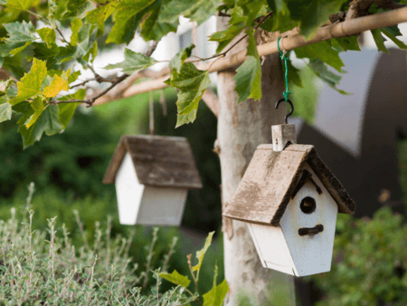 Bird houses
