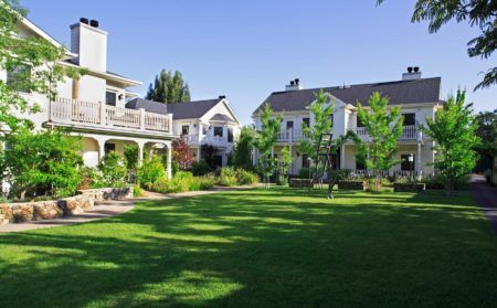 West Lawn in dappled afternoon light