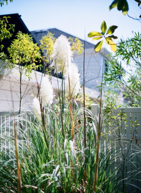 Natural greenery on the property's winding pathways