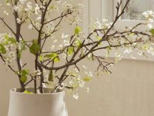 Room florals