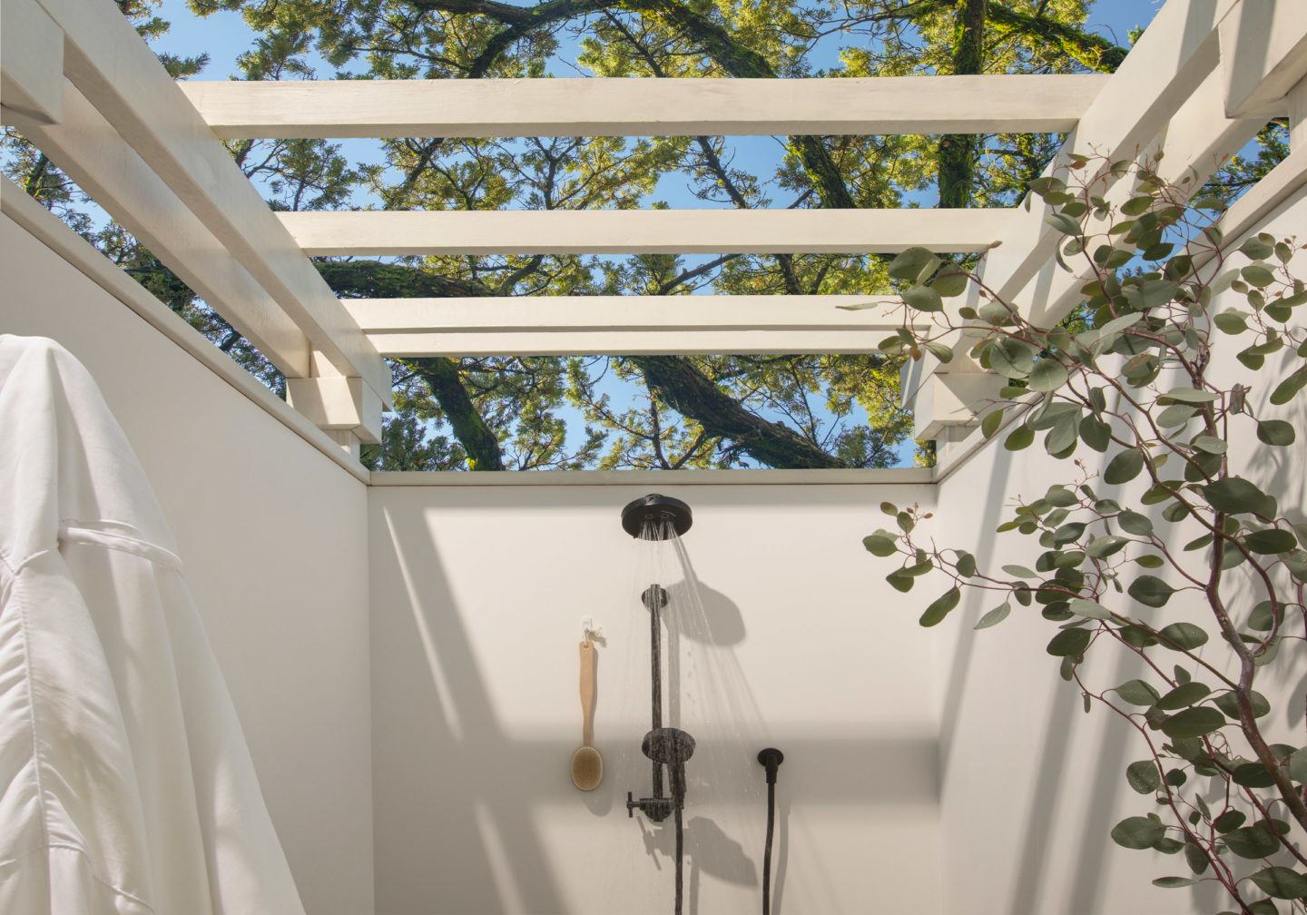 Room outdoor shower with tree and sky view