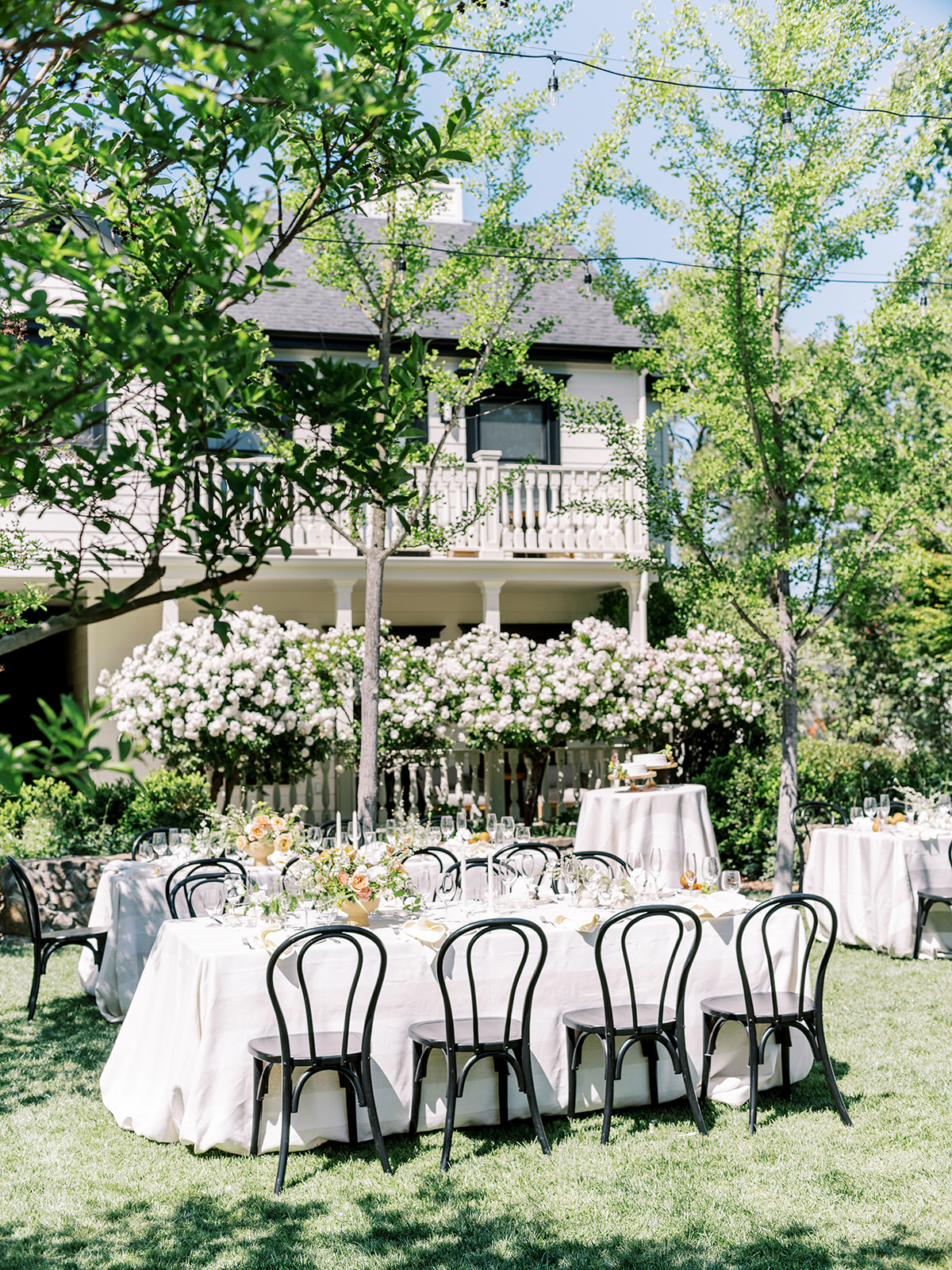 Sonoma Wedding Ceremony West Lawn