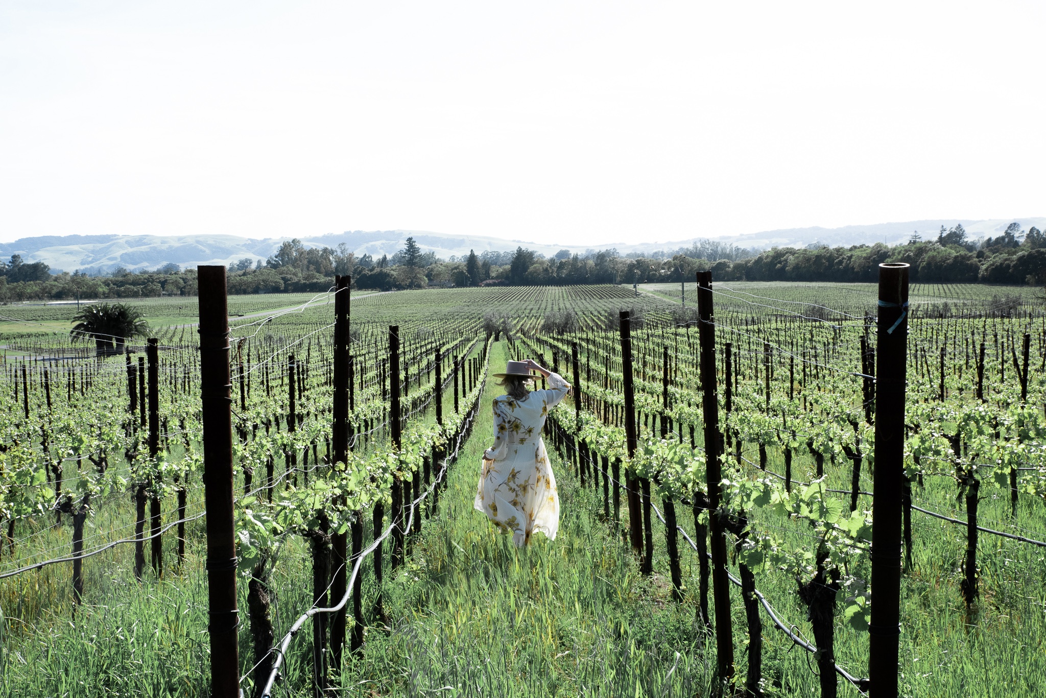 Sonoma is Open: <br> Adventures Await