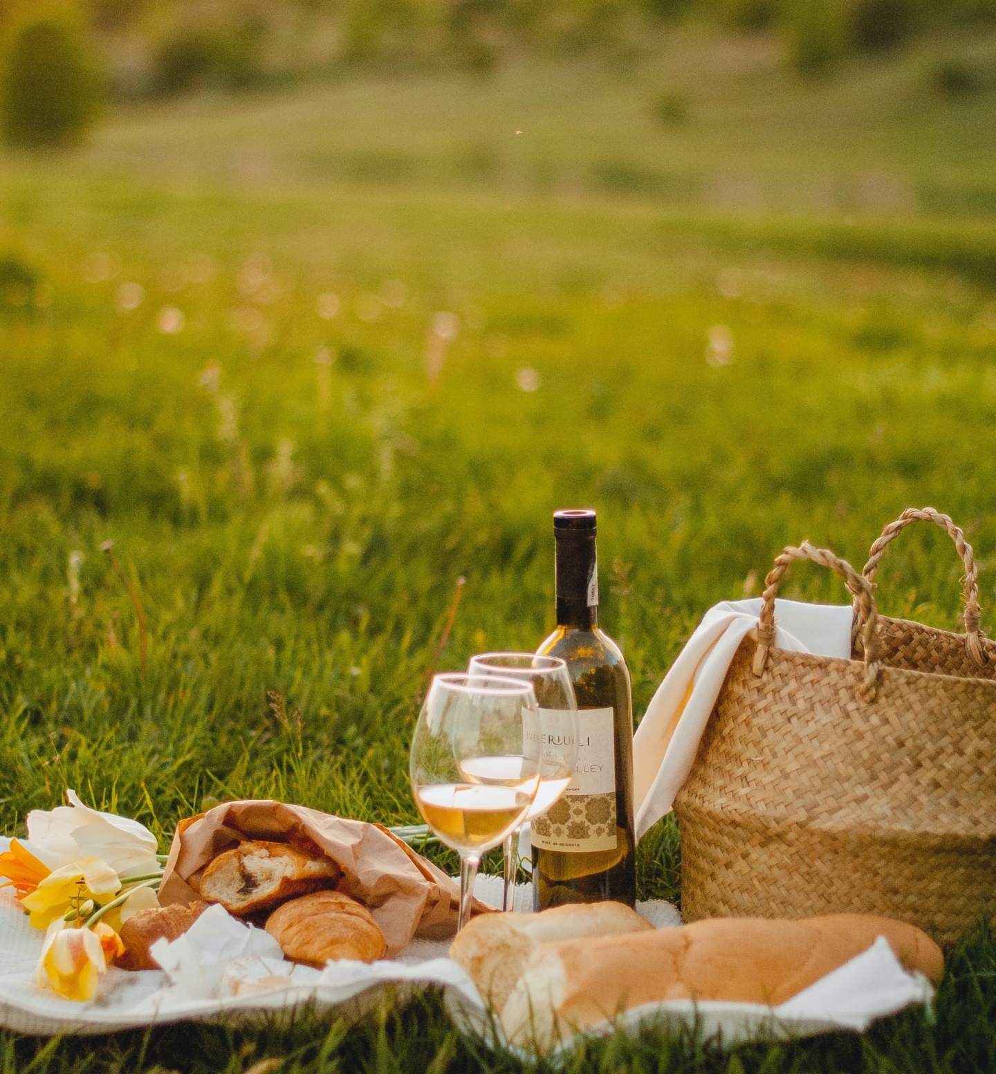 KidFriendly SonomaOur Top Things To Do In Sonoma With Kids MacArthur Place Hotel & Spa