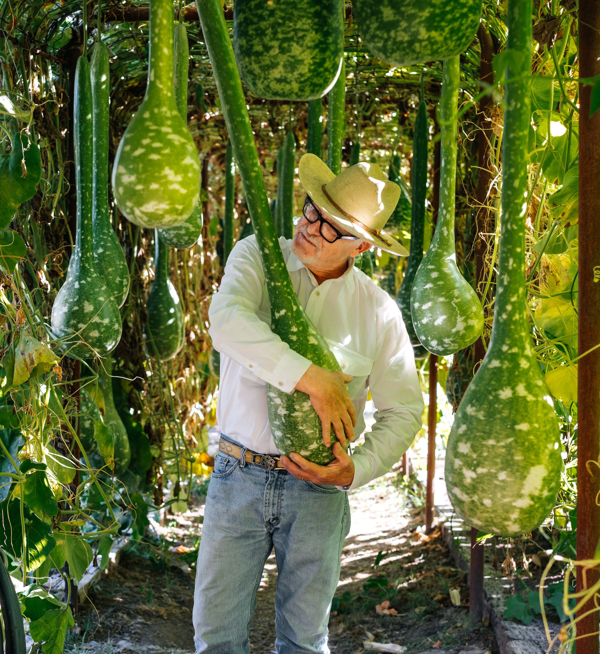 Hudson Ranch Gourds