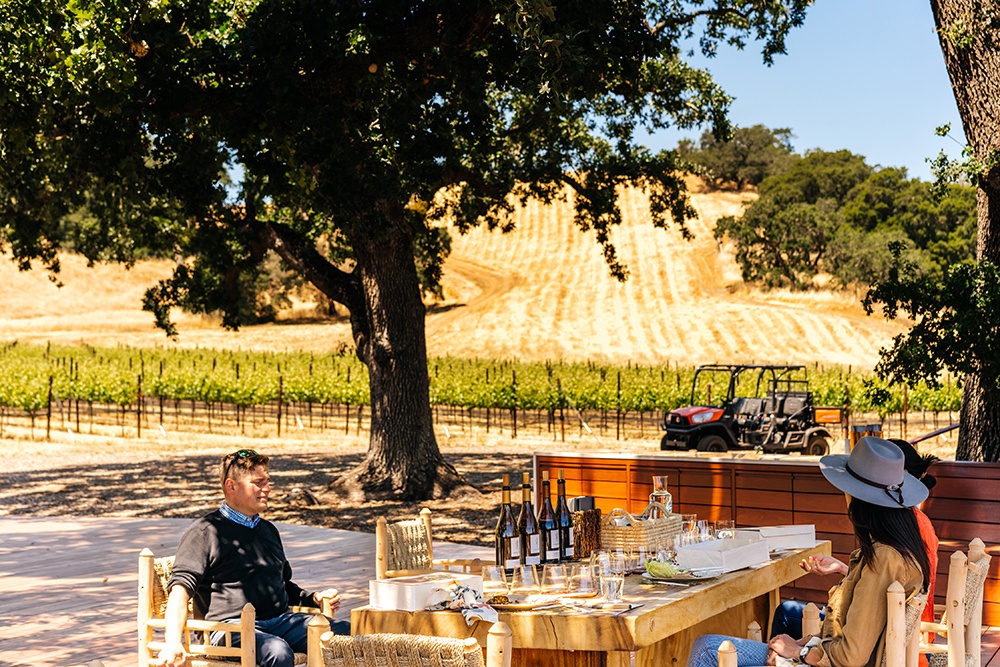 Wine Tasting Al Fresco at Durell Vineyard