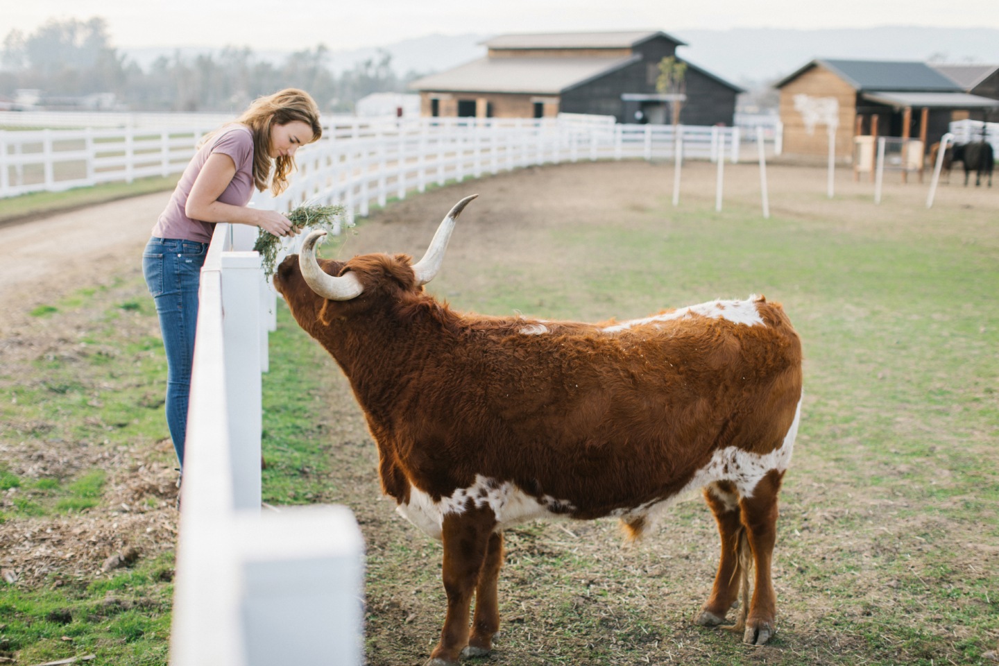 farm tours sonoma county