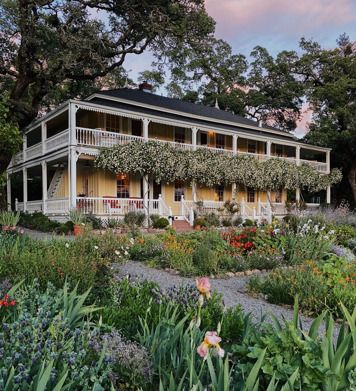 Women-owned Sonoma wineries: Beltane Ranch