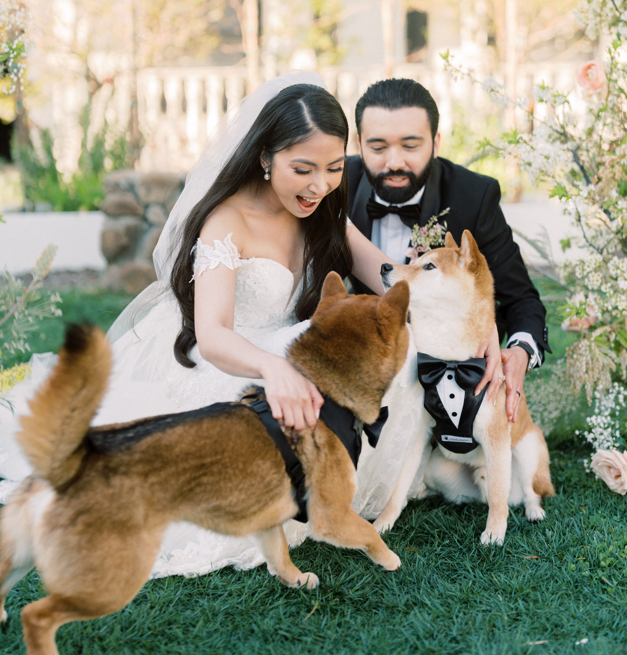 Wedding Spring Elopement