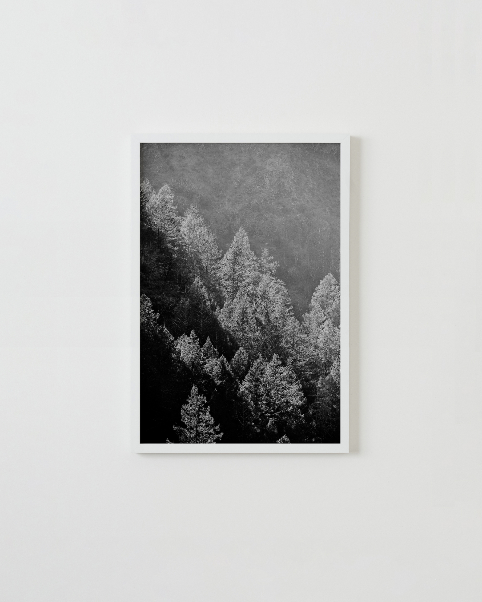 Jessica Haye & Clark Hsiao, Kenwood I
